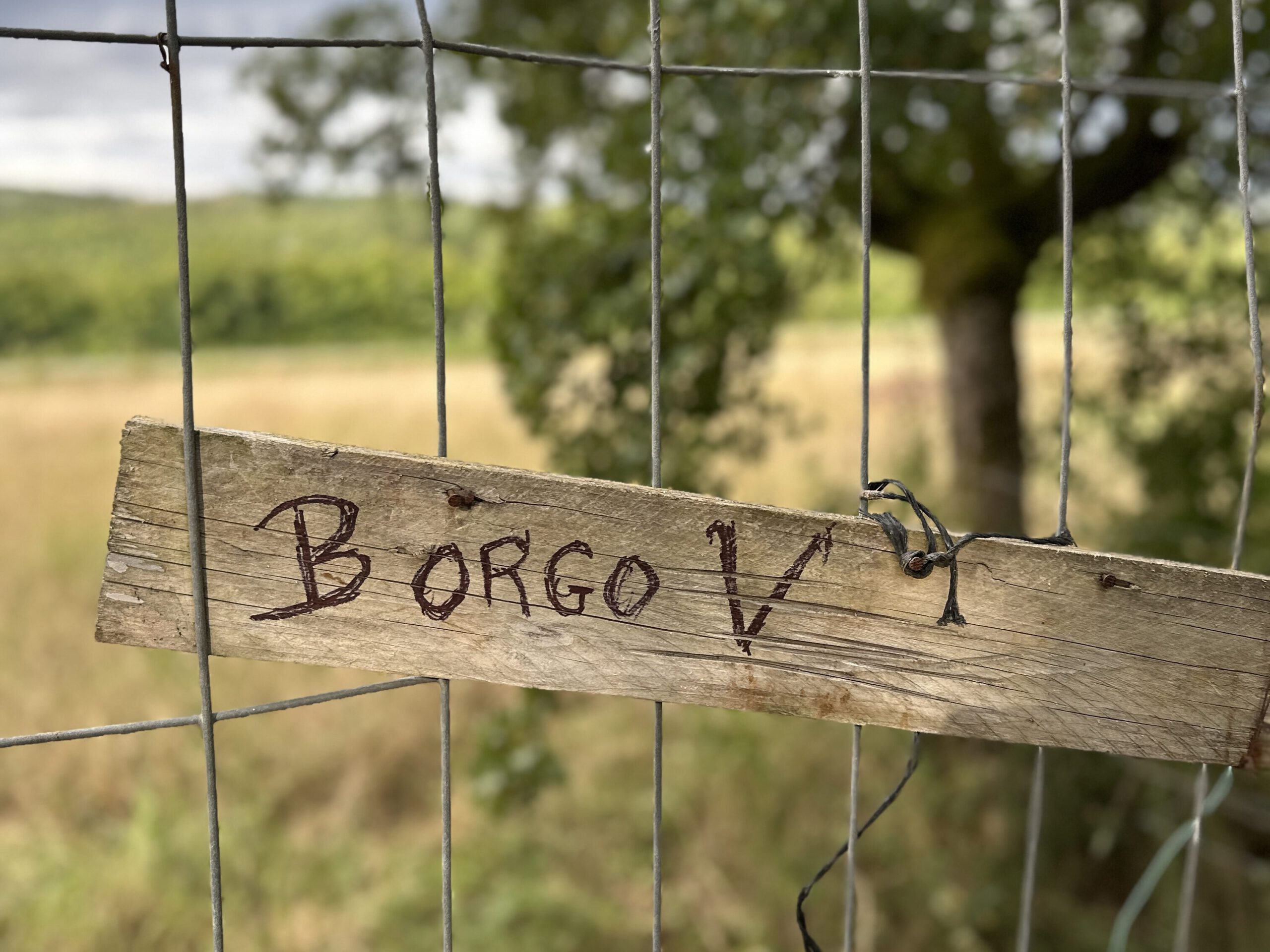 De eerste weken…..